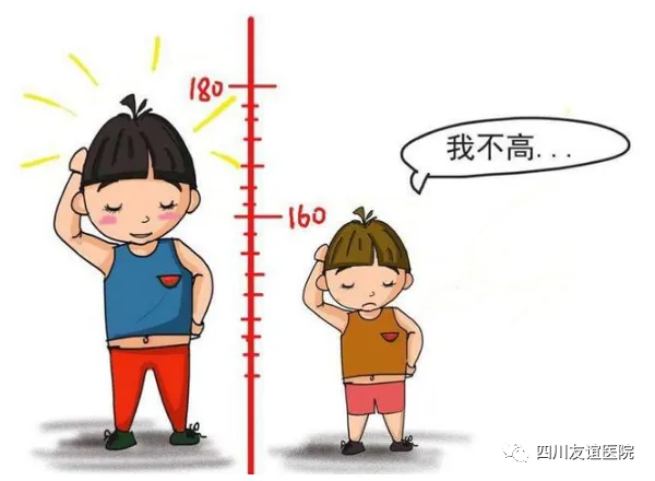 图片 10.png